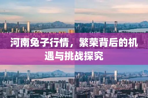河南兔子行情，繁榮背后的機遇與挑戰(zhàn)探究