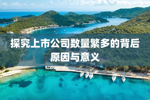 探究上市公司數(shù)量繁多的背后原因與意義