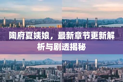 陶府夏姨娘，最新章節(jié)更新解析與劇透揭秘