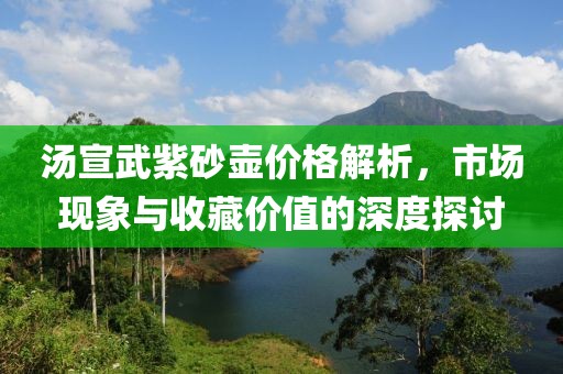 湯宣武紫砂壺價(jià)格解析，市場現(xiàn)象與收藏價(jià)值的深度探討