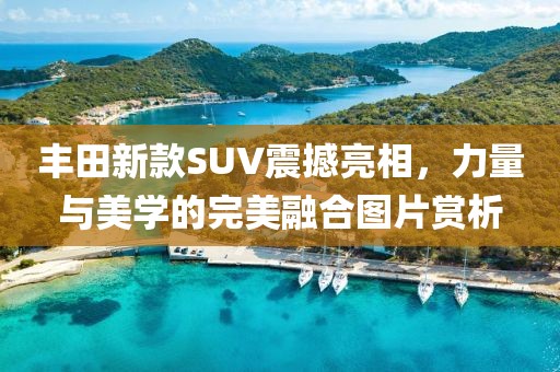 墨軒 第13頁