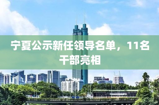 寧夏公示新任領(lǐng)導(dǎo)名單，11名干部亮相