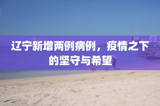 遼寧新增兩例病例，疫情之下的堅(jiān)守與希望
