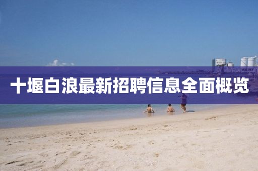 十堰白浪最新招聘信息全面概覽
