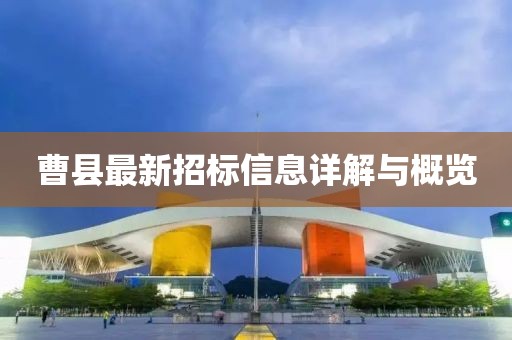曹縣最新招標信息詳解與概覽