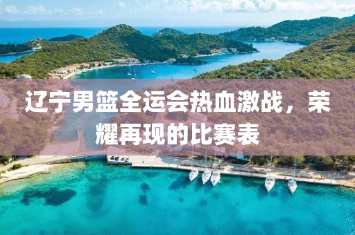 遼寧男籃全運(yùn)會熱血激戰(zhàn)，榮耀再現(xiàn)的比賽表