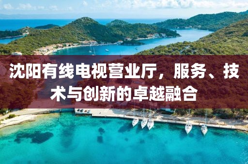 沈陽有線電視營業(yè)廳，服務(wù)、技術(shù)與創(chuàng)新的卓越融合