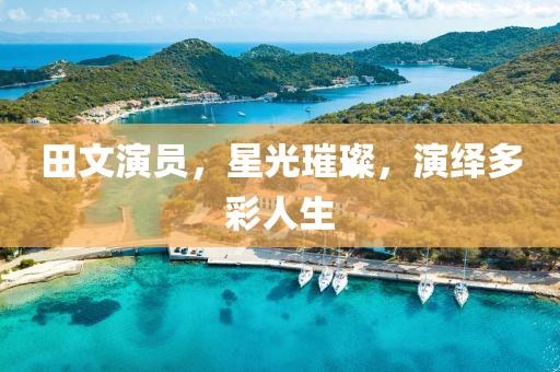 田文演員，星光璀璨，演繹多彩人生