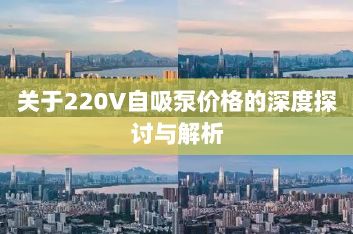 關(guān)于220V自吸泵價(jià)格的深度探討與解析