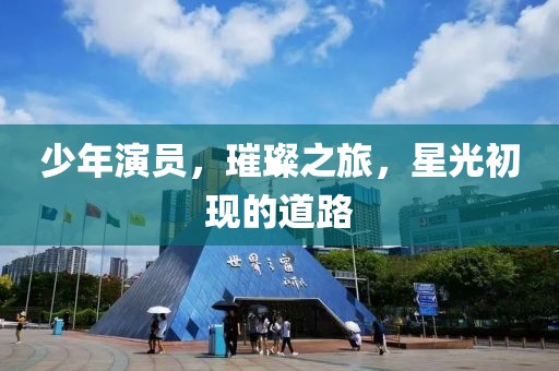 少年演員，璀璨之旅，星光初現(xiàn)的道路