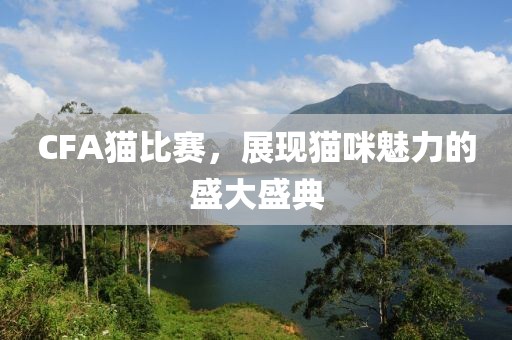 CFA貓比賽，展現(xiàn)貓咪魅力的盛大盛典