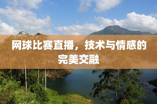 網(wǎng)球比賽直播，技術(shù)與情感的完美交融