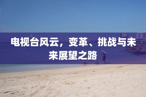 電視臺風云，變革、挑戰(zhàn)與未來展望之路