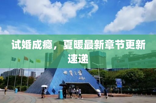 試婚成癮，夏暖最新章節(jié)更新速遞
