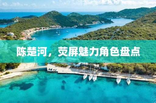 陳楚河，熒屏魅力角色盤點