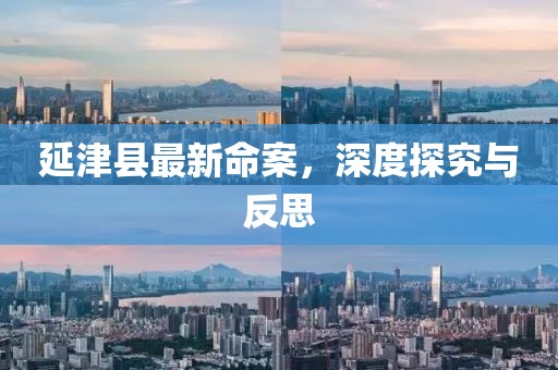 延津縣最新命案，深度探究與反思