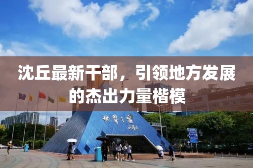 沈丘最新干部，引領(lǐng)地方發(fā)展的杰出力量楷模