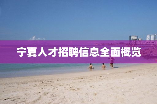 寧夏人才招聘信息全面概覽