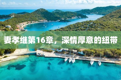 妻孝繼第16章，深情厚意的紐帶