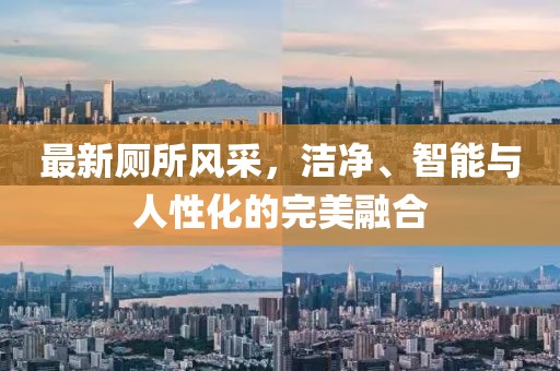 最新廁所風(fēng)采，潔凈、智能與人性化的完美融合