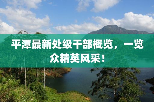 平潭最新處級(jí)干部概覽，一覽眾精英風(fēng)采！