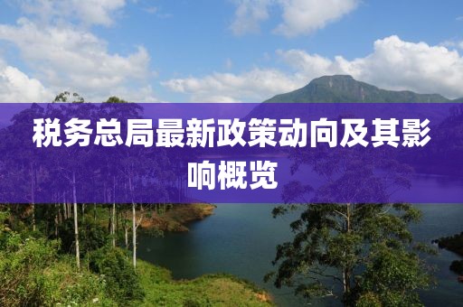 稅務(wù)總局最新政策動向及其影響概覽