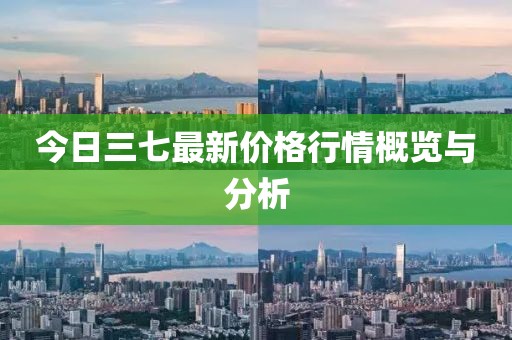 今日三七最新價格行情概覽與分析