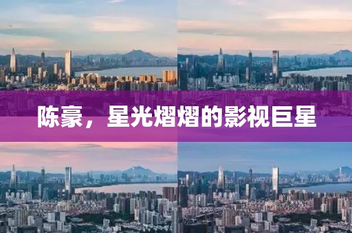 陳豪，星光熠熠的影視巨星