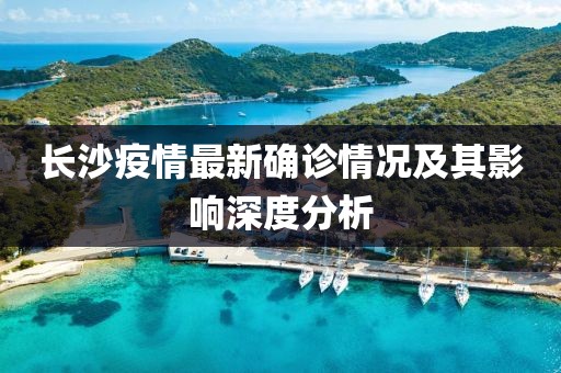 長(zhǎng)沙疫情最新確診情況及其影響深度分析