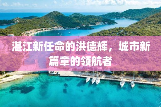 湛江新任命的洪德輝，城市新篇章的領航者