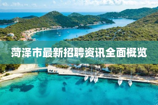 菏澤市最新招聘資訊全面概覽