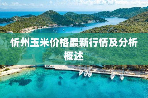 忻州玉米價(jià)格最新行情及分析概述