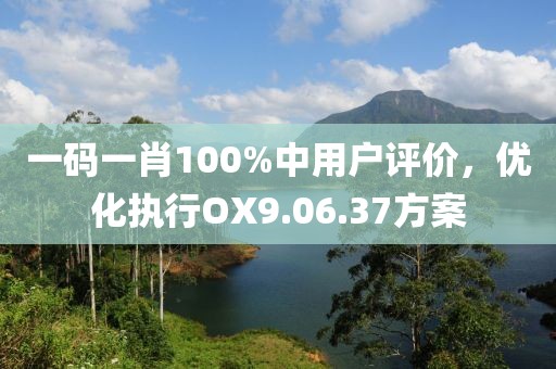 一碼一肖100%中用戶評價，優(yōu)化執(zhí)行OX9.06.37方案