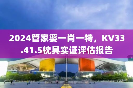 2024管家婆一肖一特，KV33.41.5枕具實證評估報告