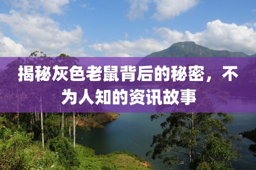 揭秘灰色老鼠背后的秘密，不為人知的資訊故事