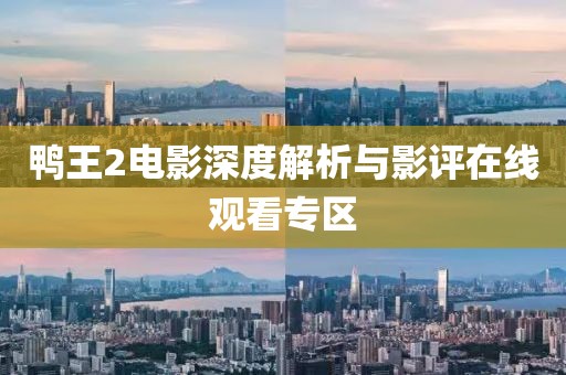 鴨王2電影深度解析與影評在線觀看專區(qū)