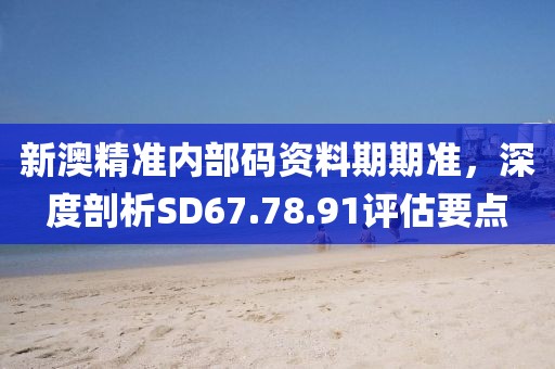 新澳精準(zhǔn)內(nèi)部碼資料期期準(zhǔn)，深度剖析SD67.78.91評(píng)估要點(diǎn)