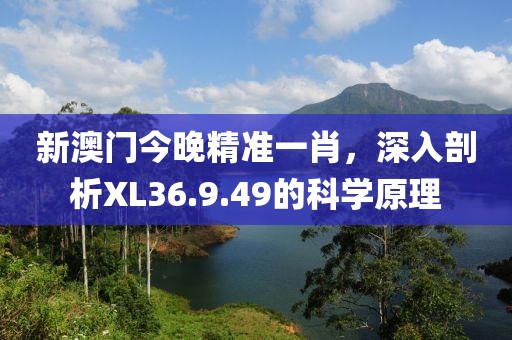 新澳門今晚精準一肖，深入剖析XL36.9.49的科學原理