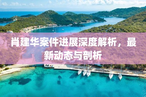 肖建華案件進展深度解析，最新動態(tài)與剖析