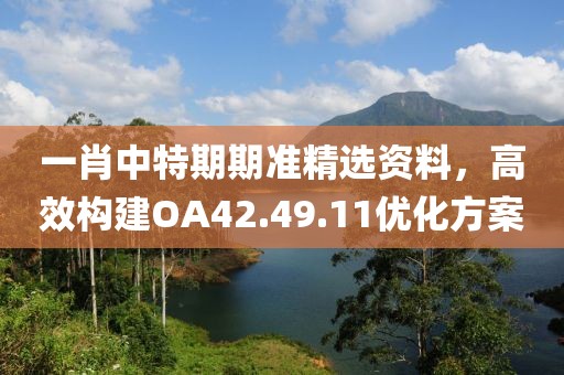 一肖中特期期準(zhǔn)精選資料，高效構(gòu)建OA42.49.11優(yōu)化方案