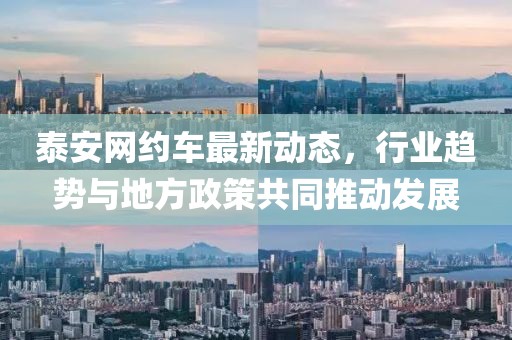 泰安網(wǎng)約車最新動態(tài)，行業(yè)趨勢與地方政策共同推動發(fā)展