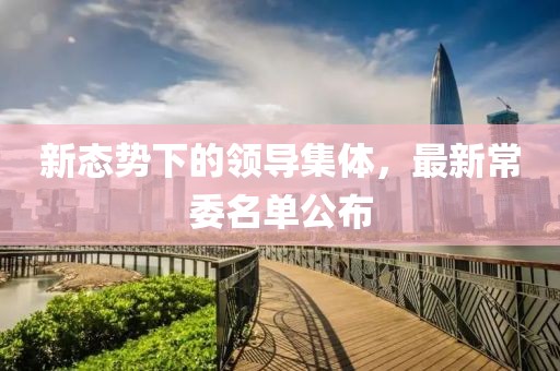 新態(tài)勢下的領導集體，最新常委名單公布