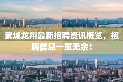 武城龍翔最新招聘資訊概覽，招聘信息一覽無余！