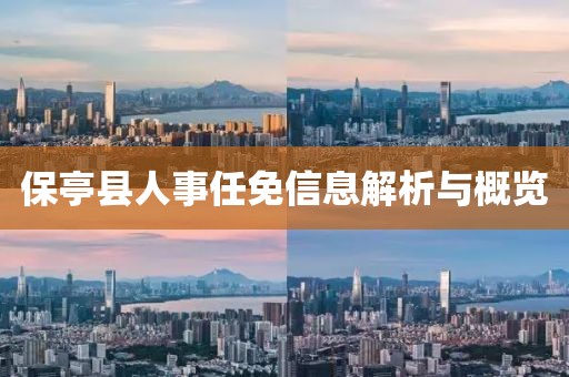保亭縣人事任免信息解析與概覽