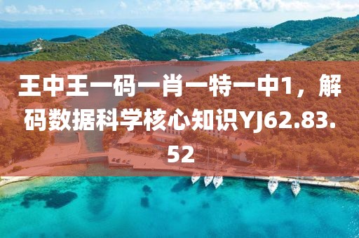王中王一碼一肖一特一中1，解碼數(shù)據(jù)科學(xué)核心知識(shí)YJ62.83.52