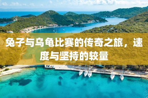 兔子與烏龜比賽的傳奇之旅，速度與堅持的較量