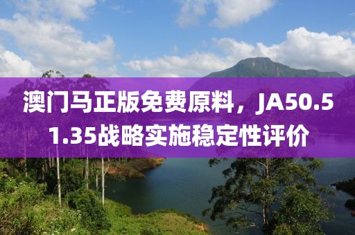 澳門馬正版免費原料，JA50.51.35戰(zhàn)略實施穩(wěn)定性評價