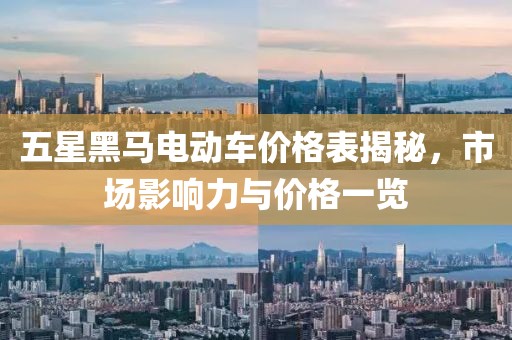 五星黑馬電動(dòng)車價(jià)格表揭秘，市場影響力與價(jià)格一覽