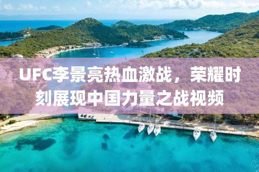 UFC李景亮熱血激戰(zhàn)，榮耀時(shí)刻展現(xiàn)中國力量之戰(zhàn)視頻