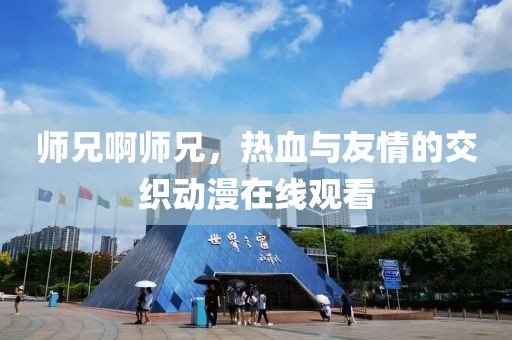 師兄啊師兄，熱血與友情的交織動(dòng)漫在線觀看